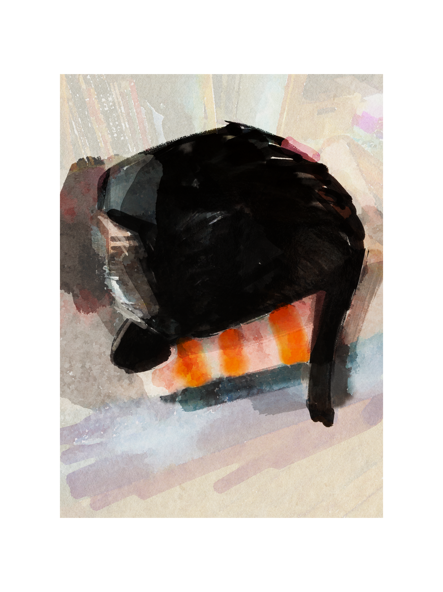Cat on red blanket
