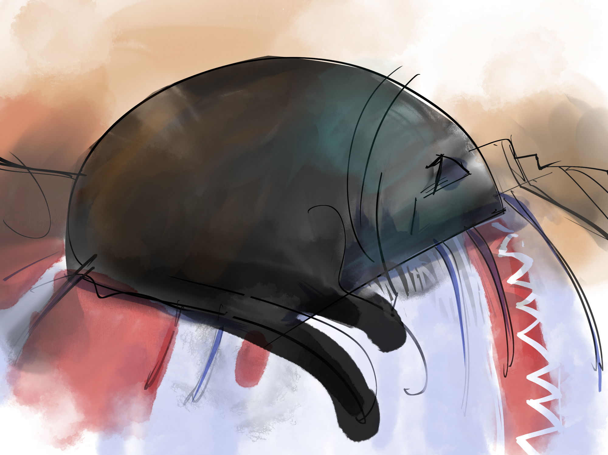 Nap on the footstool